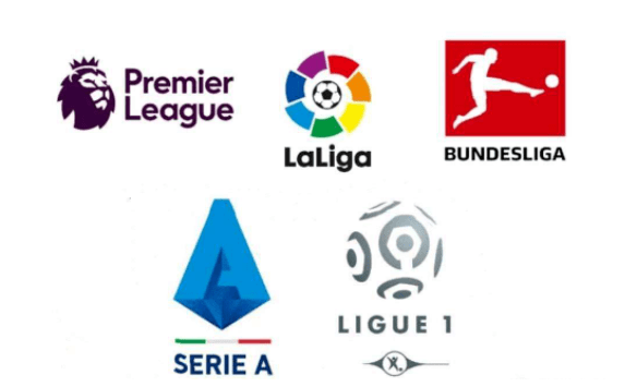 王曼昱凭借 王曼昱凭借